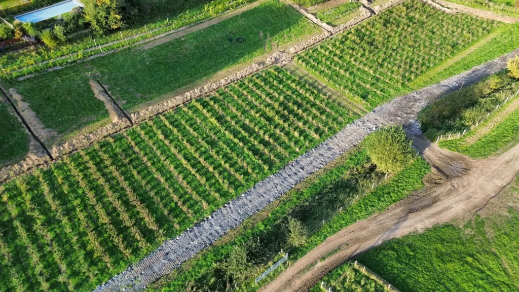 Riviere Féraux- ferme agroecologique - petits fruits