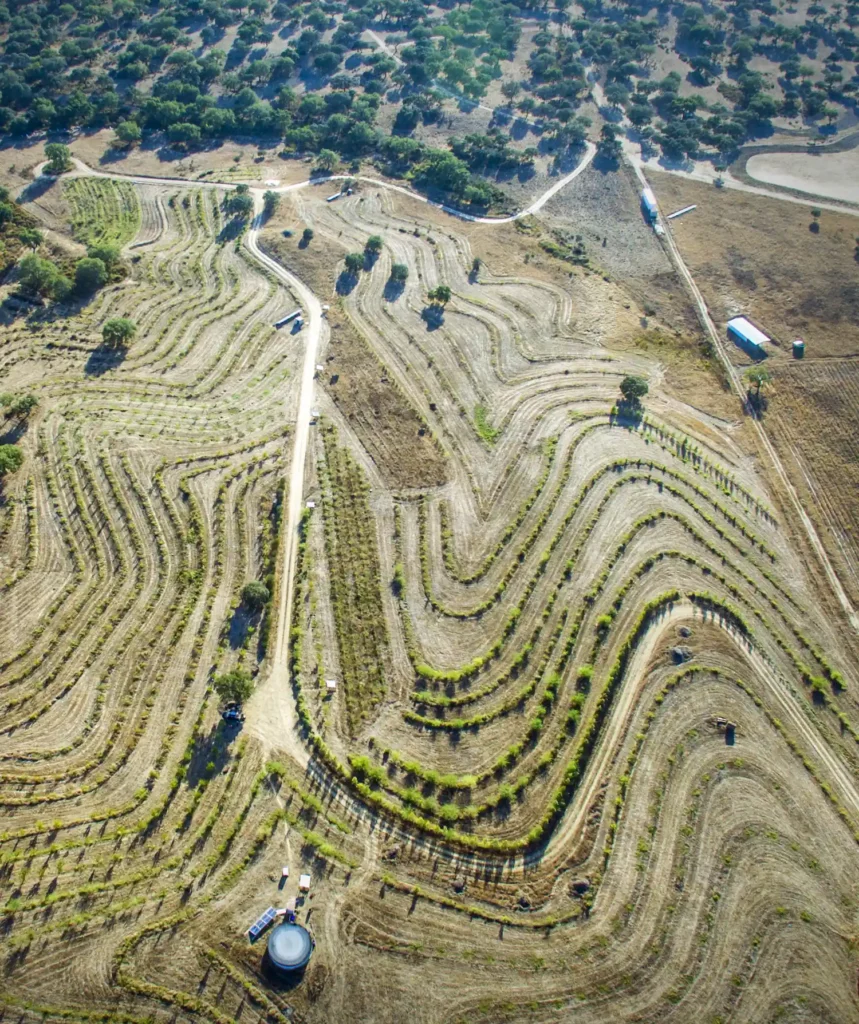 Riviere Féraux- keyline design - ferme vue du haut