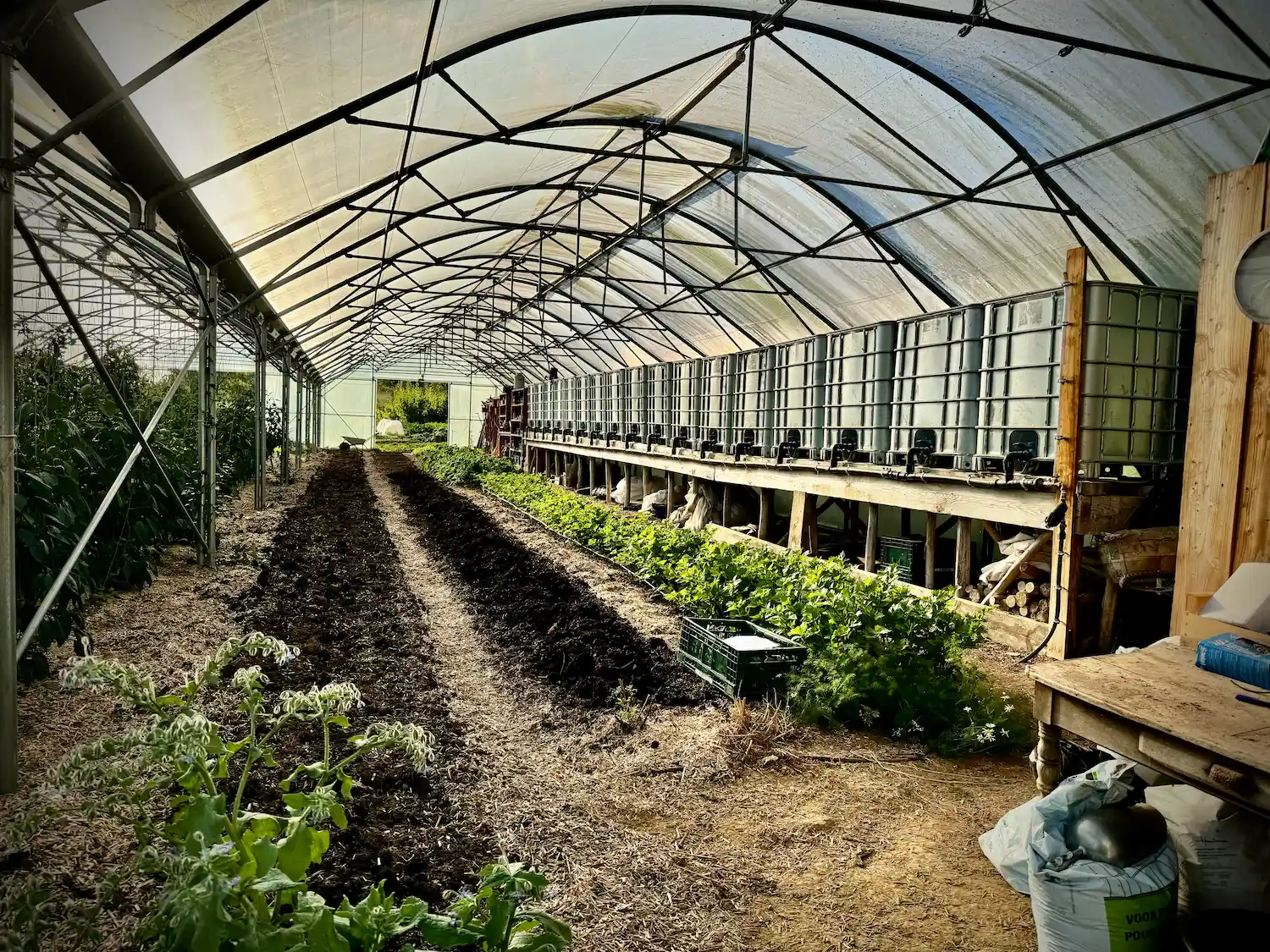 agrilandscape-riviere-feraux-ferme-agroecologique47