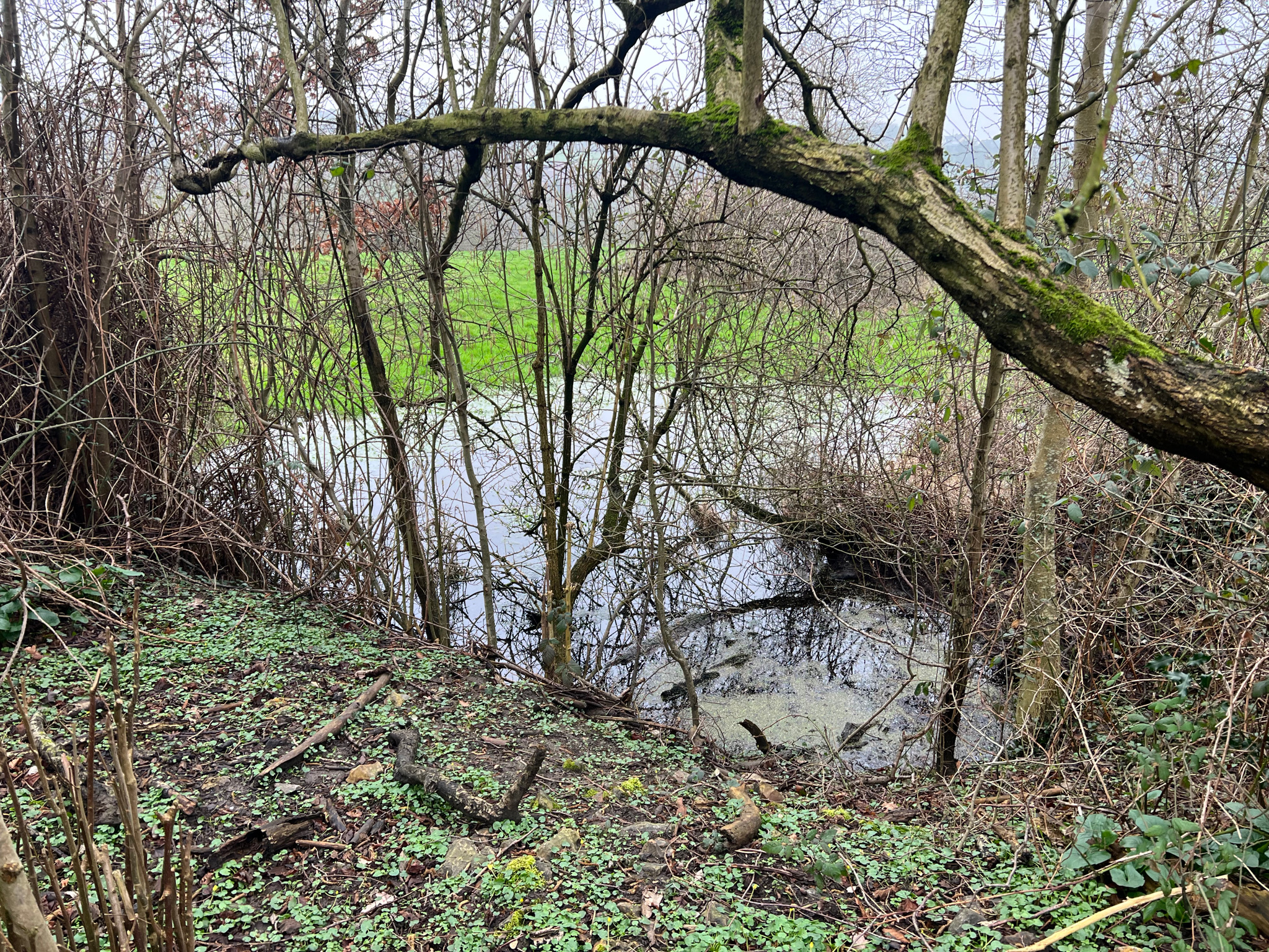 Rivière&Feraux - Liège-bassin hydrologique
