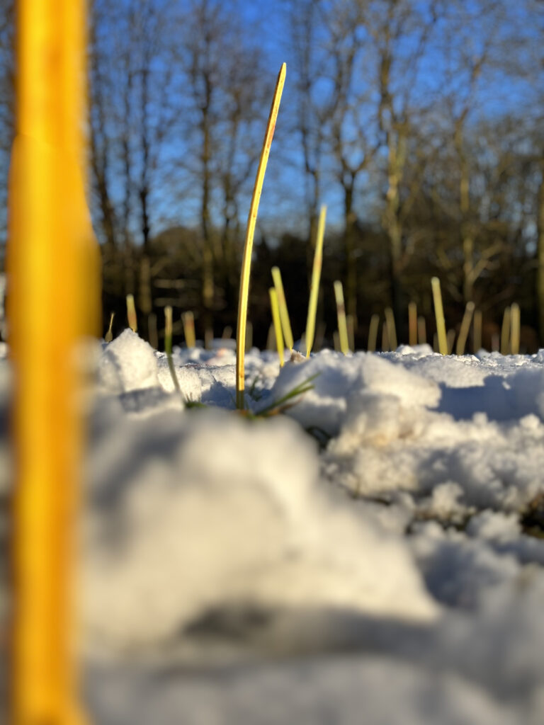 Rivière & Féraux - analyse topographique avec piquets